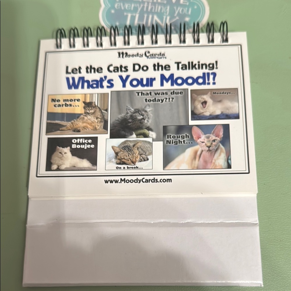 Cat Mood Flipbook - White